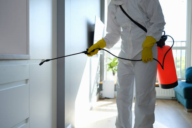 Best Emergency Mold Removal  in East Vineland, NJ
